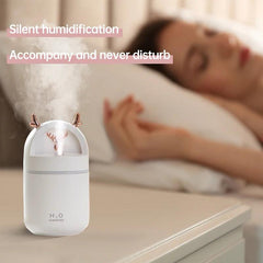 H₂O Humidifier (for car, home & office)